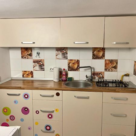 בראשוב Tampa Residence מראה חיצוני תמונה