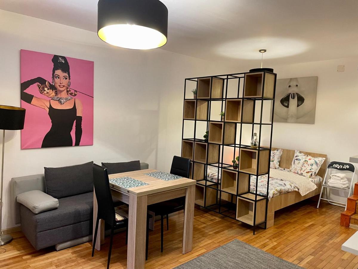 בראשוב Tampa Residence מראה חיצוני תמונה