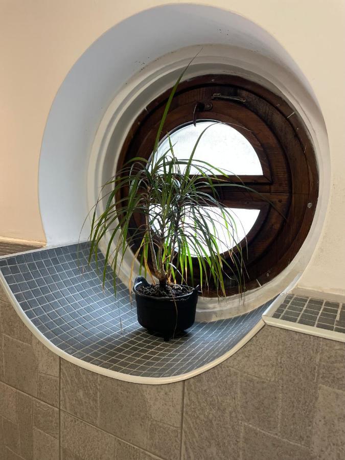 בראשוב Tampa Residence מראה חיצוני תמונה