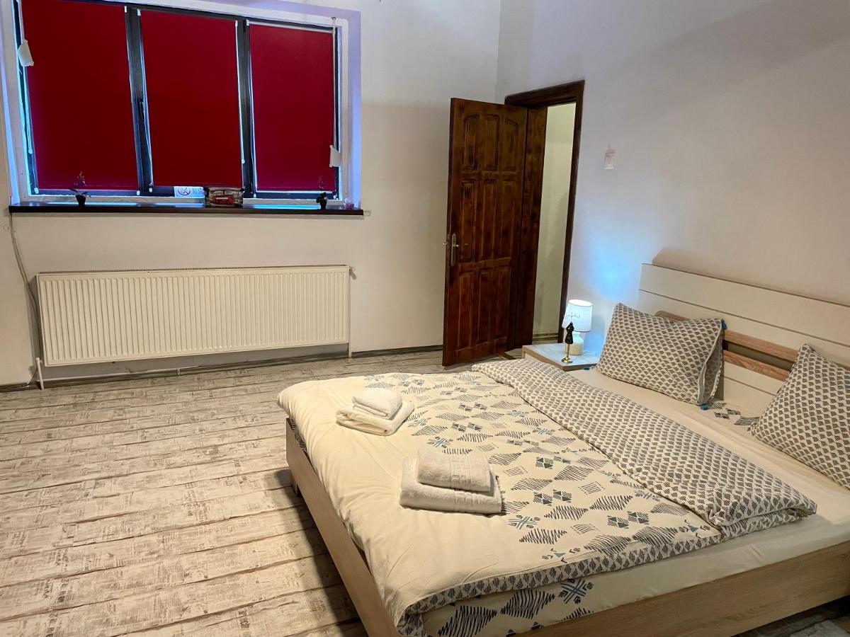 בראשוב Tampa Residence מראה חיצוני תמונה