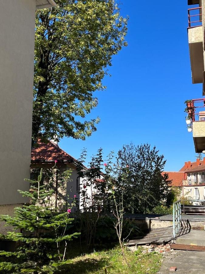 בראשוב Tampa Residence מראה חיצוני תמונה