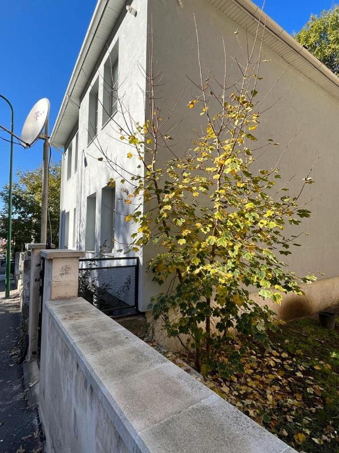 בראשוב Tampa Residence מראה חיצוני תמונה