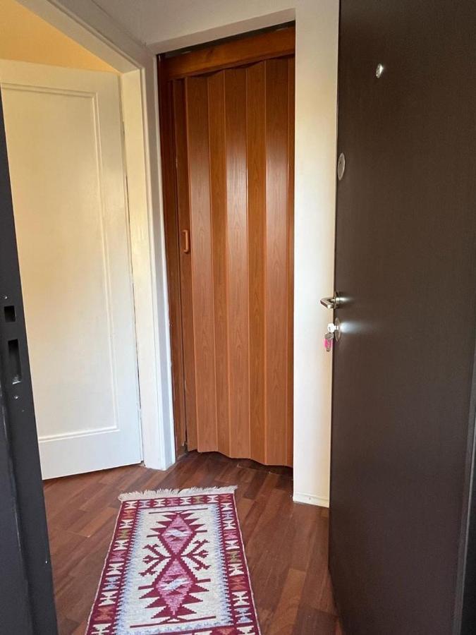 בראשוב Tampa Residence מראה חיצוני תמונה